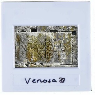 Venosa, Parco Archeologico : Detailansicht Wandrelief