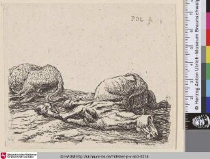 [Zwei tote Pferde; The two Dead Horses; Twee dode paarden]
