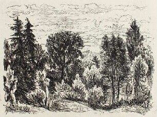 Baumlandschaft I