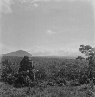Nyamuragira : Blick über den Wald in Richtung des Nyamuragira