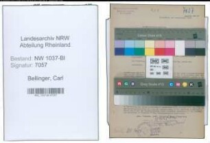 Entnazifizierung Carl Bellinger , geb. 10.03.1890 (Arzt)