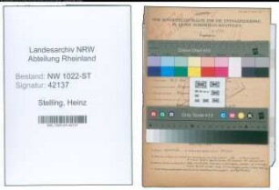 Entnazifizierung Heinz Stelling , geb. 13.07.1905 (Kaufmaennischer Angestellter)