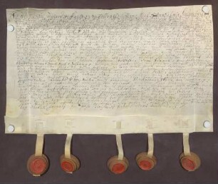 Testimonium probationis des Karl Philipp Greiffenclau von Vollrads.