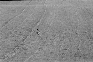 Čičmany. Akt-Pleinair 1980. Abgeerntetes Feld mit einer darüber laufenden jungen Frau