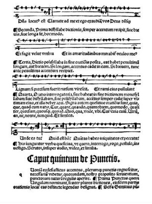 Caput quintum de Punctis.