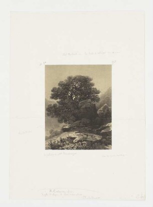 Lac des quatre Cantons, Blatt 90 der Folge "Werke"