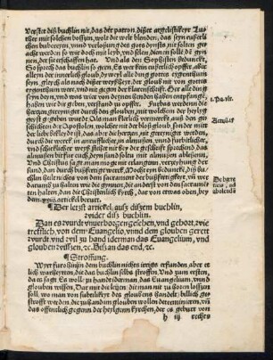 Der letzt artickel, ausz diszem buchlin, wider disz buchlin.