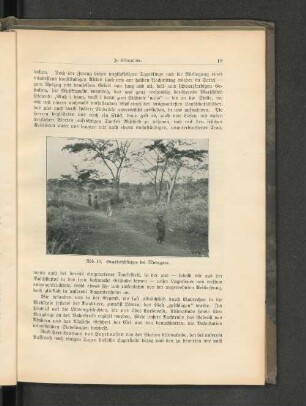 Abb. 10. Grasbuschsteppe bei Morogoro.