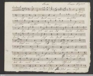 Tenor (12 Stimmen)