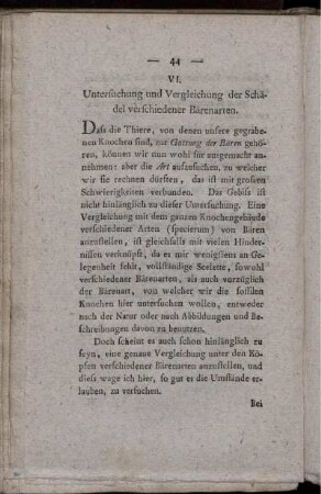 VI. Untersuchung und Vergleichung der Schädel verschiedener Bärenarten