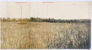 Foto eigener und russischer Stellungen nordwestlich Posdyntki (rechter Bildteil, Ausschnitt)