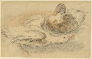 Enten