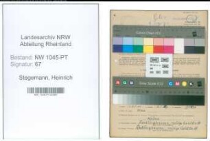 Entnazifizierung Heinrich Stegemann , geb. 21.06.1894 (Postbeamter)