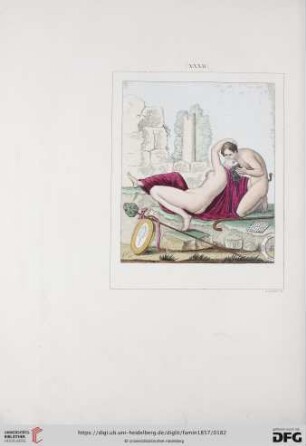 Planche XXXII