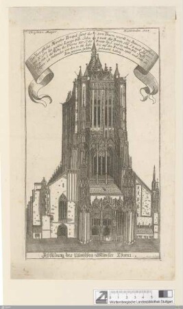 Abbildung des Ulmischen Münster Thurns