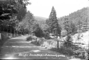 Im Preßnitztal. Straße von Steinbach nach Schmalzgrube