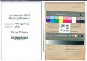 Entnazifizierung Wilhelm Pelzer , geb. 17.10.1902 (Installateur)