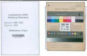 Entnazifizierung Franz Wellmanns , geb. 19.02.1904 (Justizinspektor)