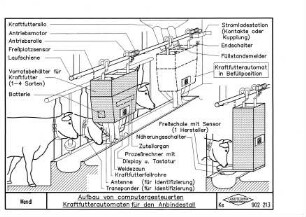 Aufbau von computergesteuerten Kraftfutterautomaten für den Anbindestall