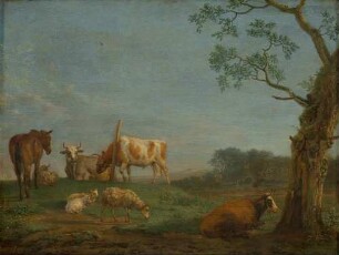 Ruhende Herde
