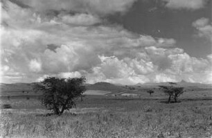 Hochfläche : Blick auf die Hochfläche zwischen Gondar und Debark.