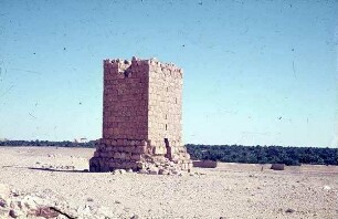 Palmyra Totenturm