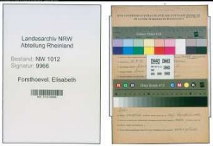 Entnazifizierung Elisabeth Forsthoevel , geb. 20.07.1899 (Lehrerin)