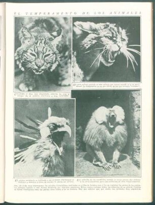 El temperamento de los animales
