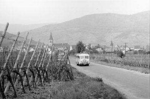 Altschweier [Ammerschwihr]: Straße nach Altschweier [Ammerschwihr], links Weinreben