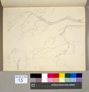 Landschaft mit blühendem Zweig