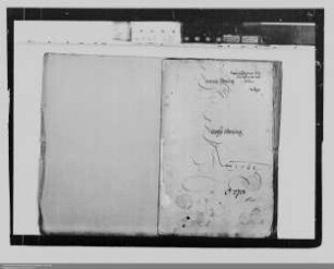 Kanzleiordnung [der Grafschaft Nassau-Dillenburg ?]