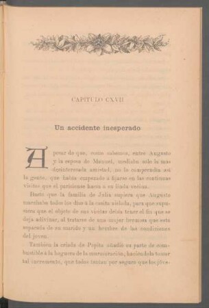 Capítulo CXVII - Un accidente inesperado