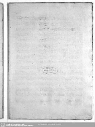 Viola Prima