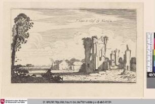 [Ruine bei Haarlem; 'Het Huis te Kleef']