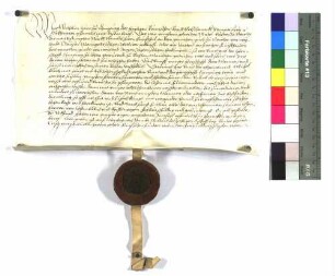 Schenk Wilhelm verleiht Michel Kurz zu Neuler das Lehen, welches in U 961 genannt ist.