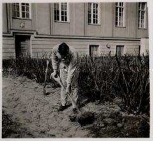 Berlin, Sport und Arbeit im Lazarett, Gartenarbeit