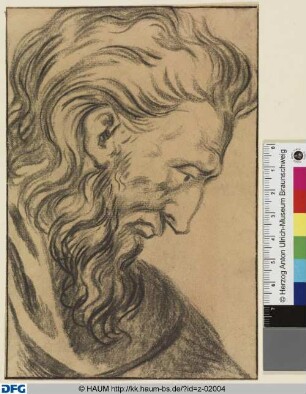 Profil eines bärtigen Mannes, nach rechts