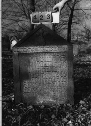 Grabstein 423
