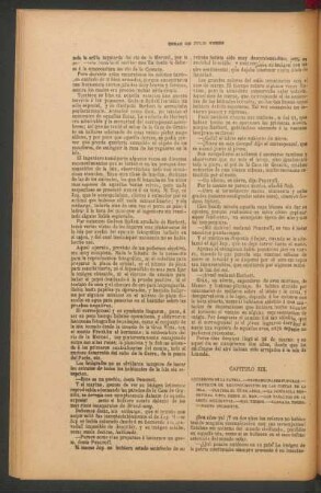 Capítulo XIX.