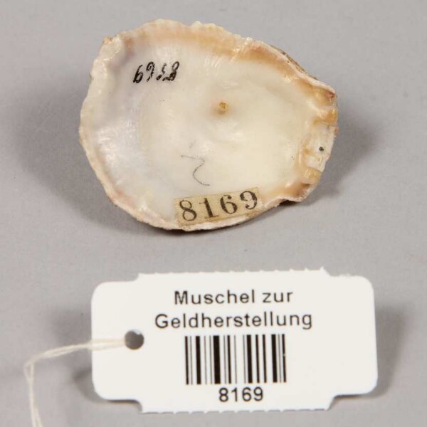 Shell for money production