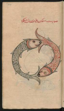 Illustration: Abbildung zweier Fische