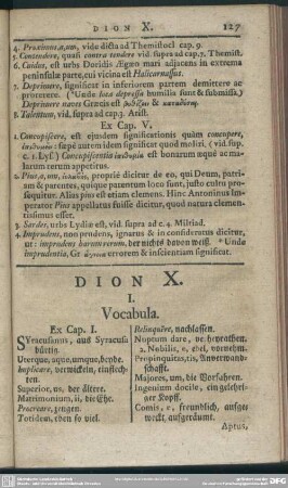 Dion X.
