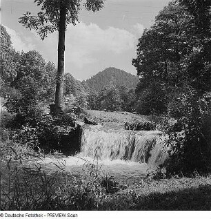 Linker Nebenfluss der Saale oberhalb Saalfeld