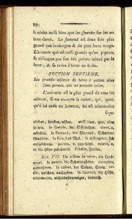 Section Septieme.