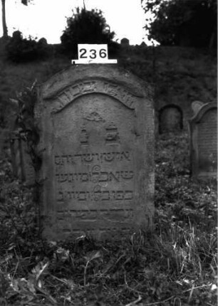 Grabstein 236