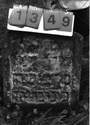 Grabstein 1349 (Index: 100098275) Maße HxBxT: 60x45x7 cm Besonderheit: Kindergrab: Grabstein 1349 (Nachholaufnahme)