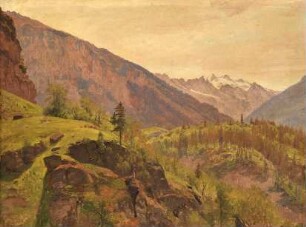 Schweizer Gebirgslandschaft