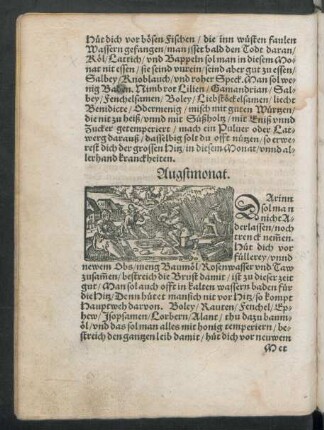 Augstmonat.