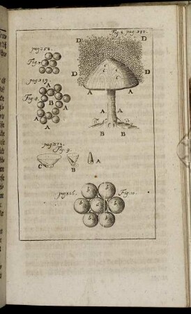 Fig: 5. [zu] pag: 310. - Fig: 10. [zu] pag: 386.