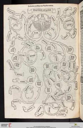 Liber Decimus